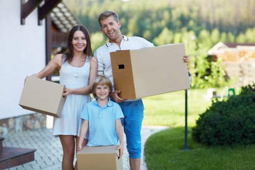 Assorted cardboard boxes and packing supplies for local residential and commercial use