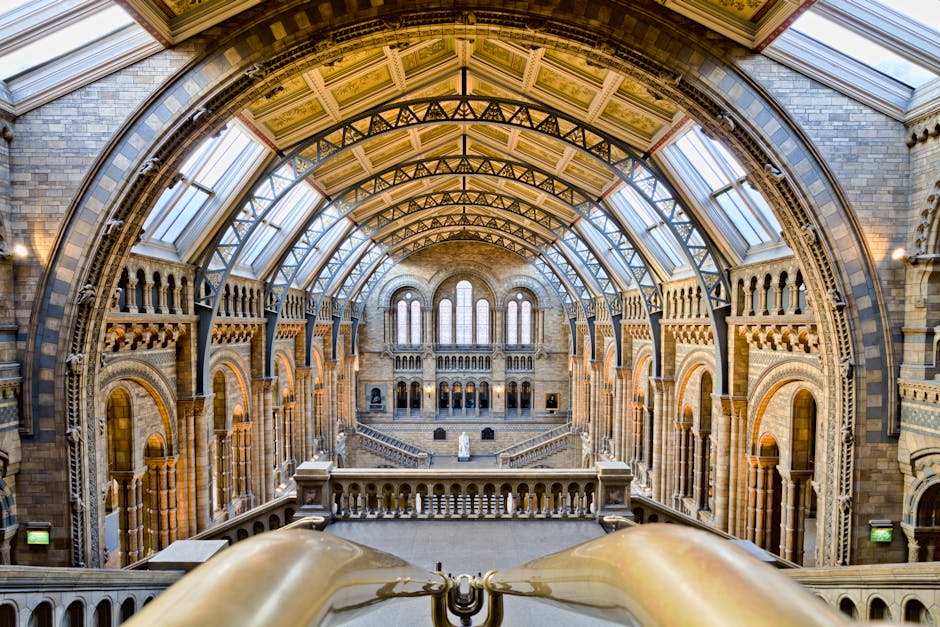 Interior view of the Natural History Museum in South Kensington featuring a high, arched glass ceiling supported by decorative metal framework, allowing natural light to illuminate the historic stone walls and intricate architectural details. The spacious hall has multiple large windows with ornate stone framing, and a central staircase with a stone balustrade leading to an upper level. In the foreground, a staircase railing is visible, while the background reveals open areas with evidence of packing and moving preparations, including cardboard boxes and wrapped furniture. This image, associated with Man and Van South Kensington's removal services, reflects the logistics of furniture transport and home relocation within a grand heritage building.