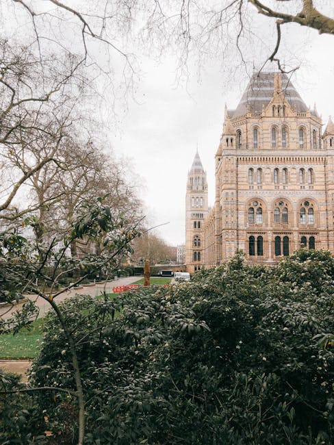 https://manandvansouthkensington.com/blog/natural-history-museum-move-logistics-south-kensington-removals/
