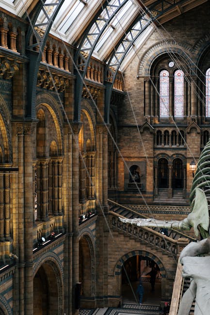 Interior view of the Natural History Museum in South Kensington featuring a high, arched glass ceiling supported by decorative metal framework, allowing natural light to illuminate the historic stone walls and intricate architectural details. The spacious hall has multiple large windows with ornate stone framing, and a central staircase with a stone balustrade leading to an upper level. In the foreground, a staircase railing is visible, while the background reveals open areas with evidence of packing and moving preparations, including cardboard boxes and wrapped furniture. This image, associated with Man and Van South Kensington's removal services, reflects the logistics of furniture transport and home relocation within a grand heritage building.