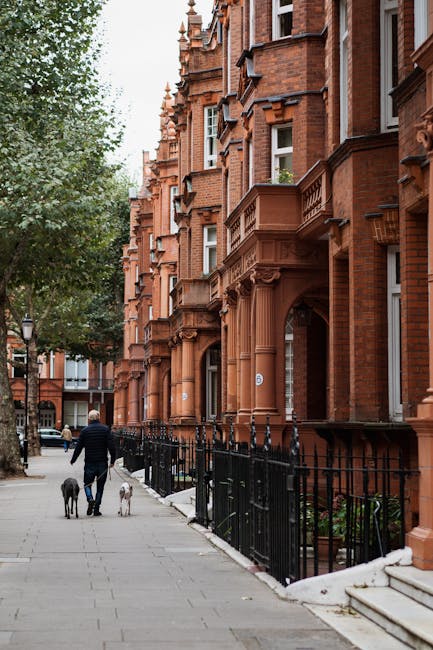 A man dressed in dark clothing walking along a residential pavement with two dogs, one black and one white, beside a row of historic red-brick Victorian buildings with ornate architectural details. The scene is set on a cloudy day with soft natural light, and mature trees line the street, partially obscuring the buildings. The pavement is clean, with a black wrought iron fence separating the sidewalk from the front steps of the properties. In the background, a black van is parked on the street, suggesting a home relocation or furniture transport activity. This setting exemplifies urban moving logistics, with the focus on residential street scene and preparation for packing and loading items, in alignment with house removals and the services offered by Man and Van South Kensington.